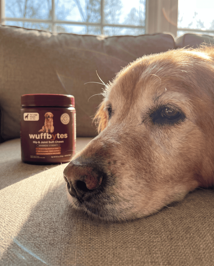 @otto.theenglishlab